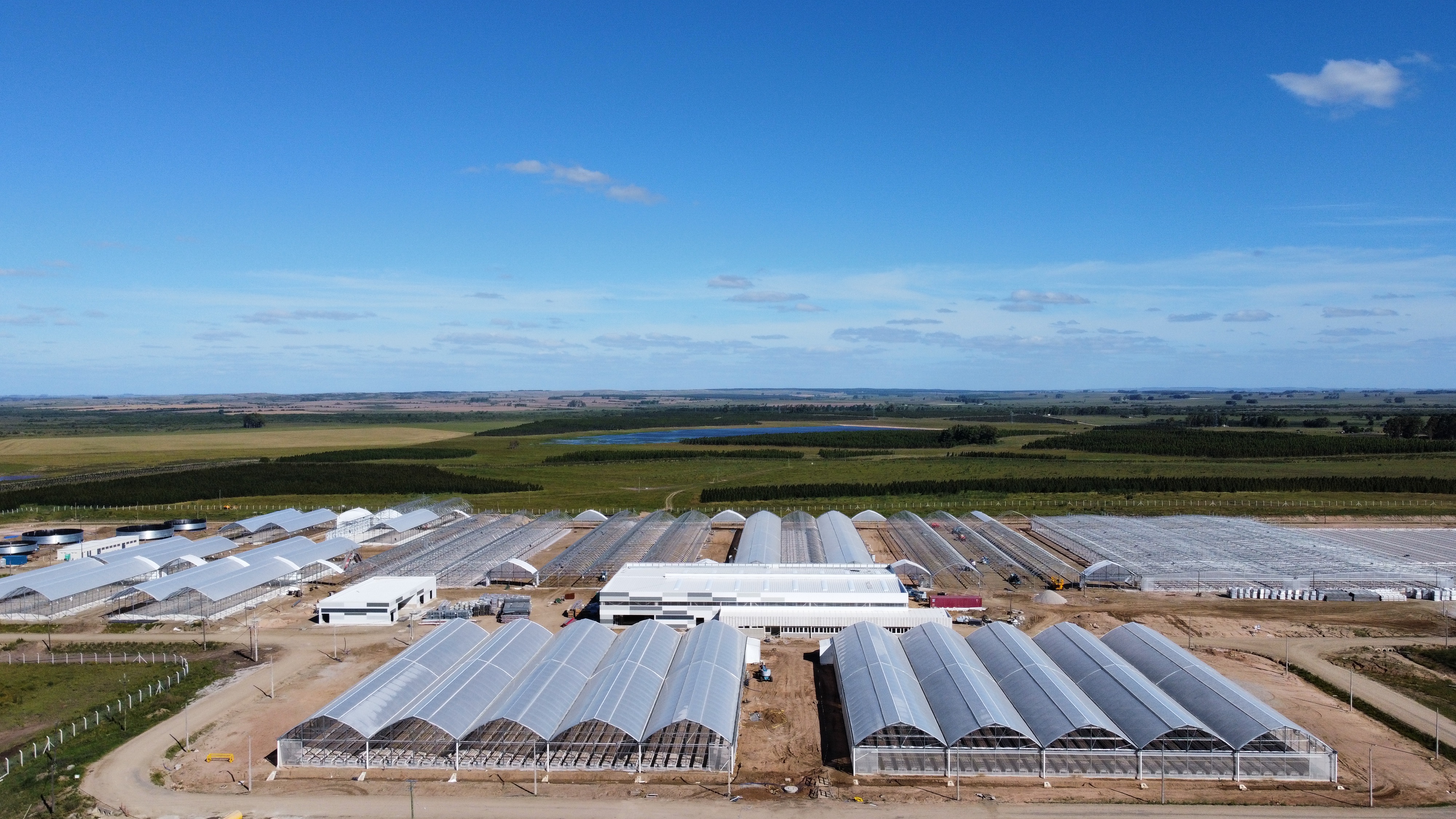 UPM II – Vivero de Producción