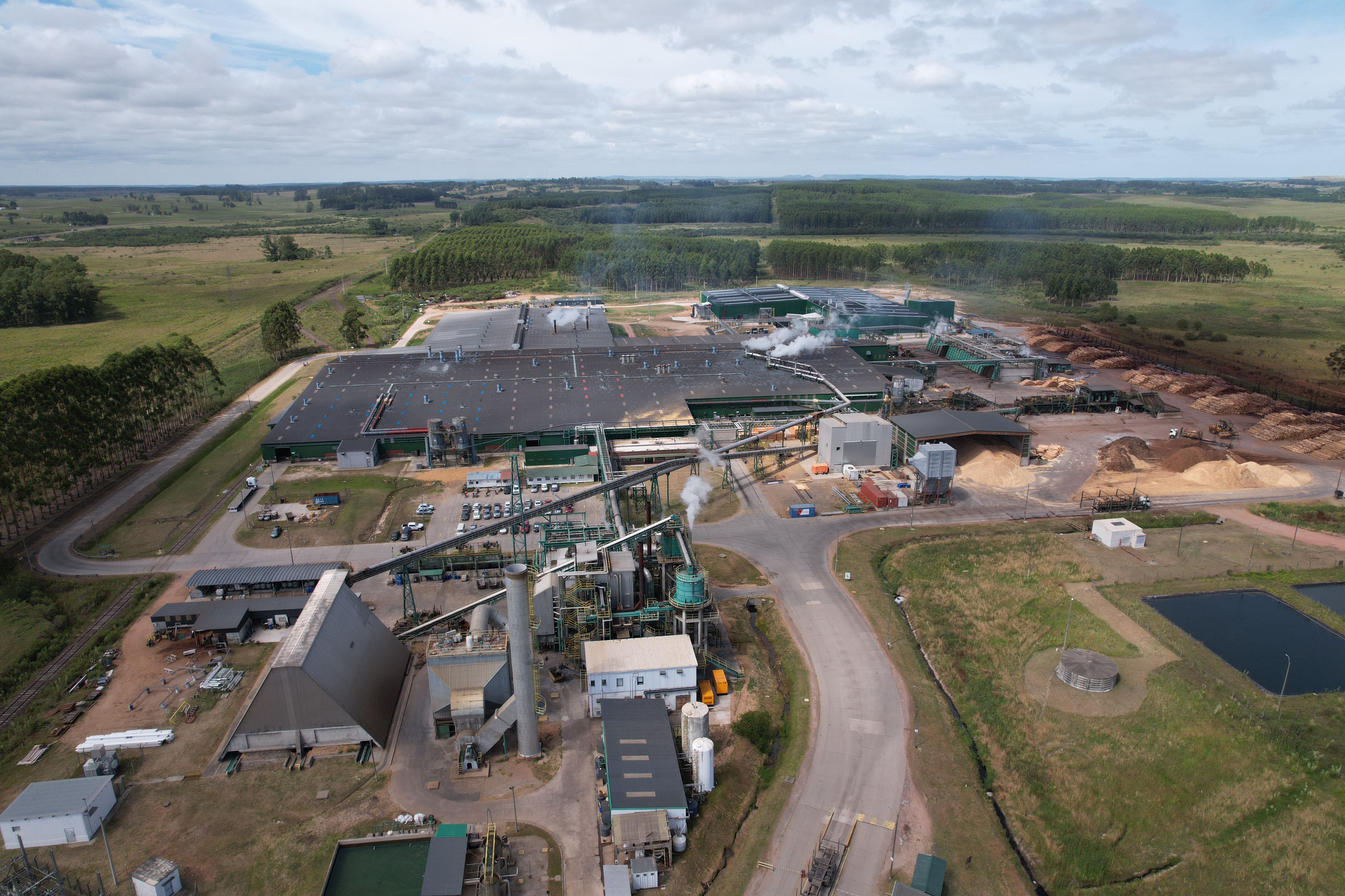 LUMIN – Planta Industrial Tacuarembó